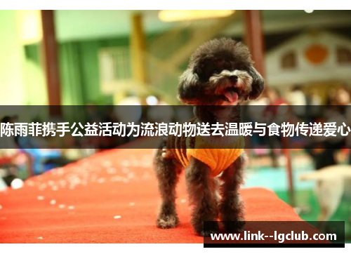 陈雨菲携手公益活动为流浪动物送去温暖与食物传递爱心 陈雨菲携手公益活动为流浪动物送去温暖与食物传递爱心