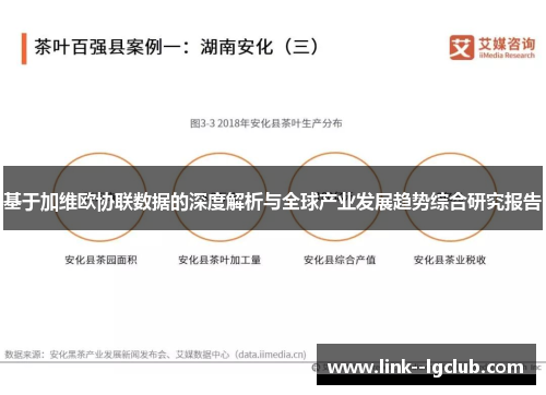 基于加维欧协联数据的深度解析与全球产业发展趋势综合研究报告